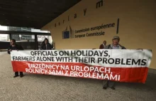 Polscy rolnicy protestują w Brukseli. Chcą wyższych rekompensat po...