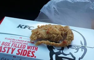 Zamiast stripsów dostał zapanierowanego szczura. Co na to KFC?