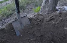 Nowo narodzoną córeczkę zostawili samą sobie, a potem jeszcze żywą zakopali w...