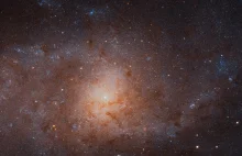 Teleskop Hubble'a wykonał szczegółowe zdjęcie bliskiej Galaktyki w Trójkącie.