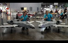 Powietrzny taniec w hali dwóch modeli RC A-10 Thunderbolt II Warthog