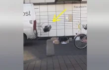 Pracownik Paczkomatów InPost rzuca przesyłkami z impetem o bruk