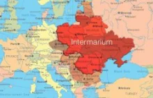 Dlaczego Sojusz między Ukrainą, Polską i Białorusią jest niebezpieczny dla ...