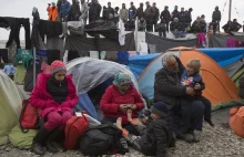 Norwegowie do imigrantów: 'zapłacimy wam, ale wyjedźcie z kraju'