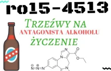 Trzeżwy na życzenie,bloker alkoholu-ro15-4513