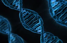 Jeżeli rozwiniemy DNA z każdej komórki naszego ciała jaka to będzie...