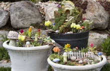 Fairy Garden - magiczny ogród wróżek, czyli hit wiosny 2017