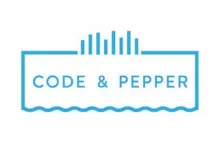 Dyskryminująca mężczyzn firma Code & Pepper korzysta z publicznego wsparcia!