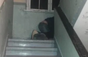 W Poznaniu bezdomni uprawiają seks na klatce schodowej