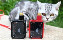 Smoant Rabox – w swoim stylu