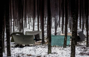 Biwakowanie zimą w lesie - bushcraft po polsku.
