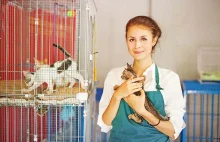 Holandia: Koniec kupowania zwierząt w sklepach zoologicznych?
