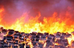 W Meksyku przechwycono i spalono 134 tony marihuany (zdjęcia)