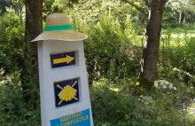 Buen Camino en Polonia - Droga św. Jakuba w Polsce | podróżeTAK.pl