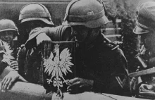 Dlaczego Zachód nie pomógł Polsce we wrześniu 1939 r.?