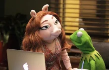 Kermit ma nową dziewczynę