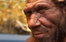 Jak seks z neandertalczykiem wpłynął na współczesnego człowieka?