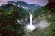 Park Narodowy Yasuní w Ekwadorze