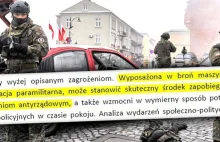 Raport o Obronie Terytorialnej. 'Uzbrojona formacja do zwalczania opozycji?