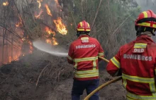 Za pożarami w Hiszpanii i Portugalii stoją grupy przestępcze