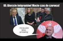 UE: Bierzcie imigrantów! Macie czas do czerwca! Kowalski & Chojecki NA...