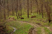 Bieszczady mniej znane - relikt wsi Choceń