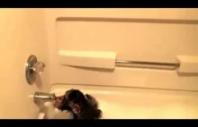 Szympans bierze kąpiel w wannie
