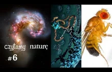 Czytamy naturę 6 | Astronomia w internecie - CRISPR z magnesami - Kultura u much