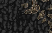 Podaruj Skrzydła / Fundacja Ewy Minge Black Butterflies