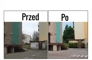 ZUS: szanuj zieleń, niszcz przedsiębiorcę