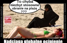 Kolejny dowód na globalne ocip(ceznura) - blog stopfalszerzom