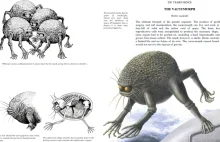 Ewolucyjny horror: 10 najdziwniejszych zwierząt spekulacyjnej biologii