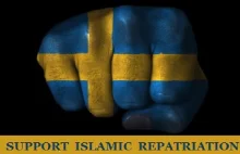 Szwedzi mają dość emigrantów - kryzys w kraju i dymisja gabinetu premiera