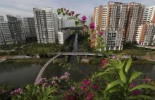 Wyższe dotacje na zakup mieszkania. Początek upadku Singapuru?! [ENG]