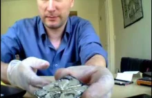 Creatures found incubating in phone batteries