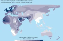 Tylko 1/3 ludzi może pić mleko.