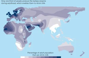 Tylko 1/3 ludzi może pić mleko.