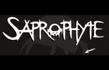 Saprophyte - Stratosphere