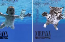 Koty na okładkach albumów muzycznych. Nirvana, Billy Joel, czy David...