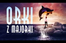 "Orki z Majorki" (Official Video Clip)