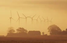 Dania postawiła sobie za cel pozyskiwanie prądu w 50% z energii wiatru