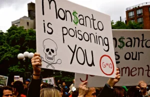 Małogłowie: winne Monsanto, a nie Zika?