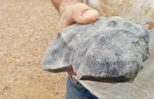 Meteoryt odkryty w Australii jest starszy od Ziemi, a nawet Układu Słonecznego