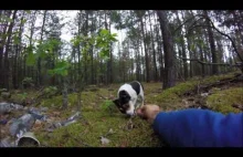 Mikro sunia porzucona w lesie w "Dzień Psa". Już jest bezpieczna.
