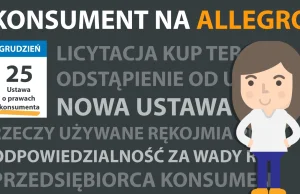 Konsument na Allegro - w 10-ciu punktach