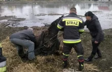 Strażacy uratowali topiącego się konia (zdjęcia)