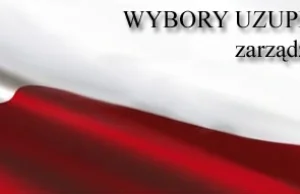 wybory uzupełniające do senatu. Korwin-Mikke w czołówce