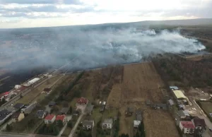 Pożar nieużytków w Szydłowcu. W sumie ogień pochłonął kilkadziesiąt hektarów.