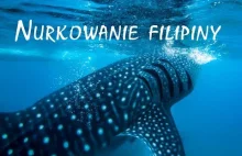 Rekin wielorybi i inne atrakcje - nurkowanie na Filipinach