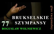 Bogusław Wolniewicz BRUKSELSKIE SZYMPANSY